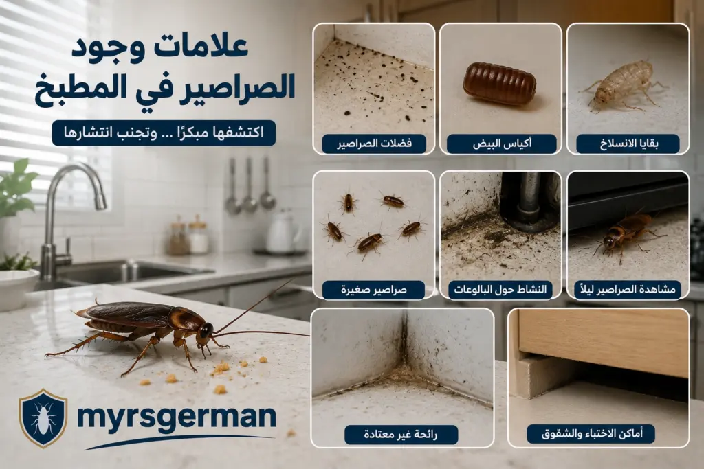اهم علامات وجود الصراصير في المطبخ